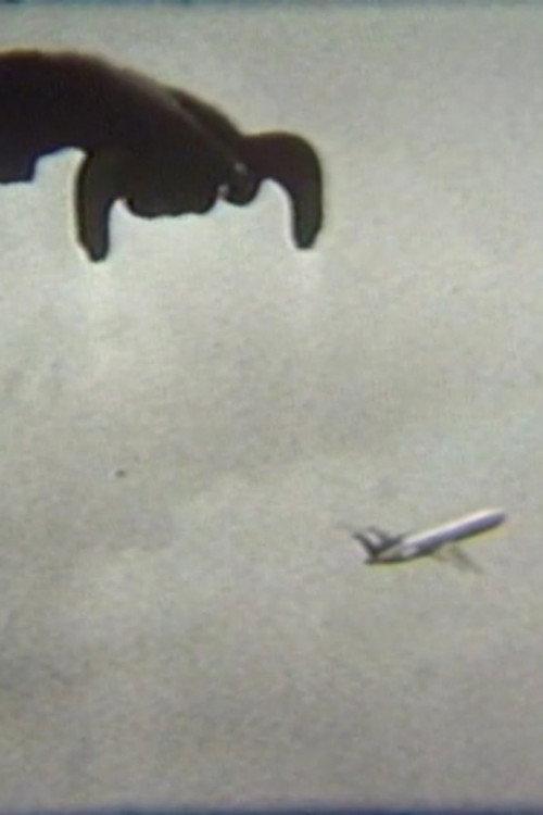 Flying 1979 official movie poster
