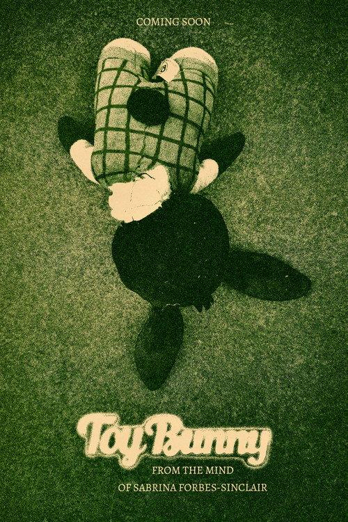 Toy Bunny  official movie poster