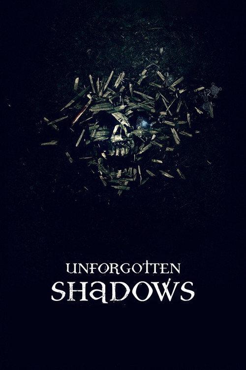 Unforgotten Shadows 2013 official movie poster