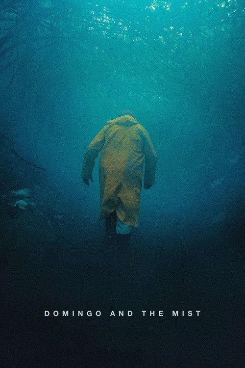 Domingo and the Mist 2022 official movie poster
