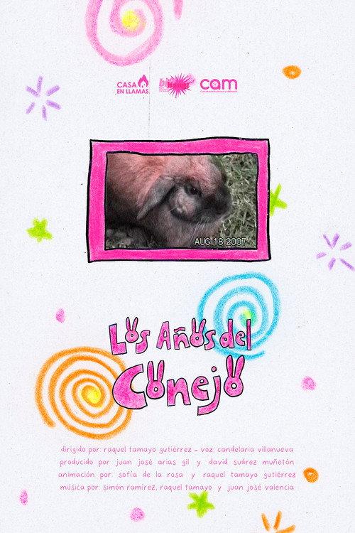 The Years of the rabbit 2025 official movie poster