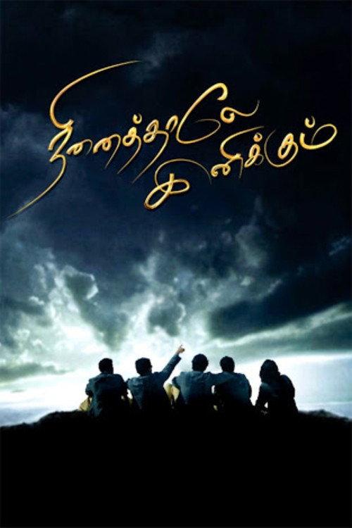 Ninaithale Inikkum 2009 official movie poster