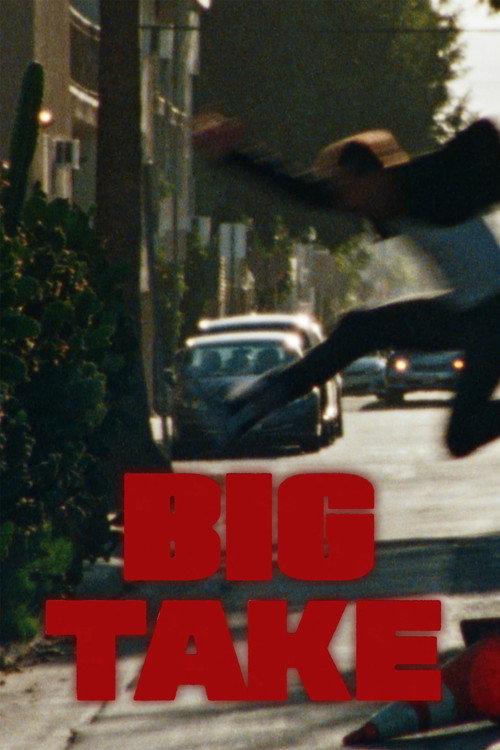 Big Take 2024 official movie poster