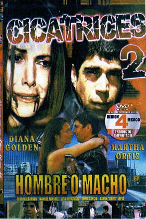 Scars 2 2007 official movie poster