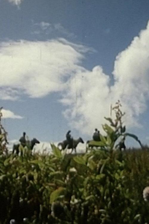 Tibetan Opera Troupe in the Khams 1993 official movie poster