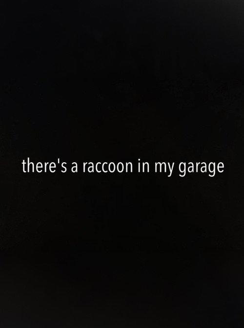 There's a Raccoon in My Garage 2024 official movie poster