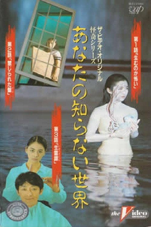The World You Don't Know II 1991 official movie poster