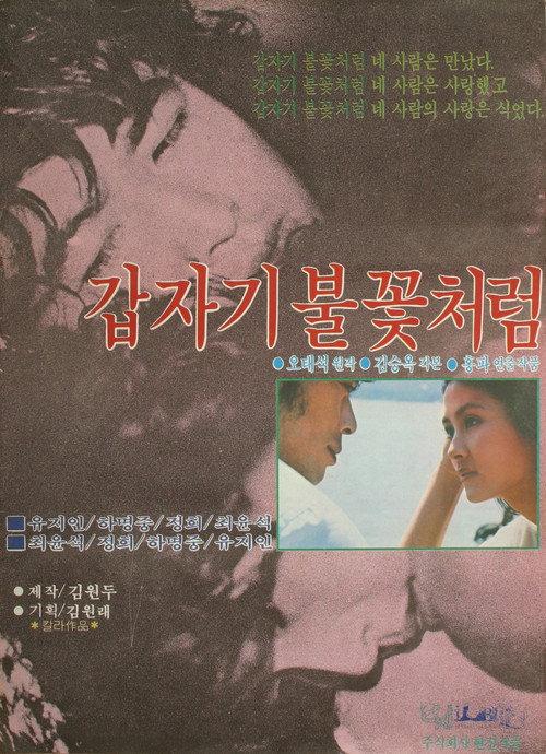Sudden Flame 1979 official movie poster