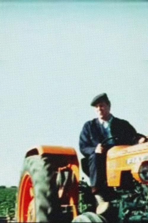 Summer in the Fields 1967 official movie poster
