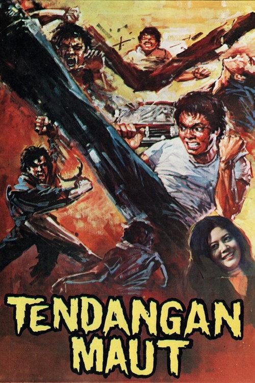 Deadly Kick 1973 official movie poster