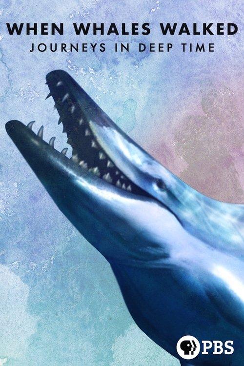 When Whales Walked: Journeys in Deep Time 2019 official movie poster