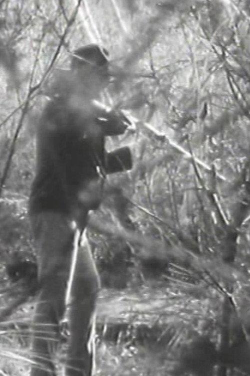 The Stringybark Creek Massacre  official movie poster