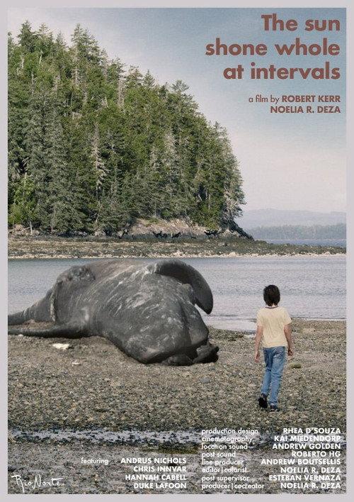 The Sun Shone Whole at Intervals 2023 official movie poster