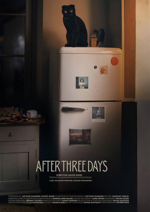 After Three Days  official movie poster