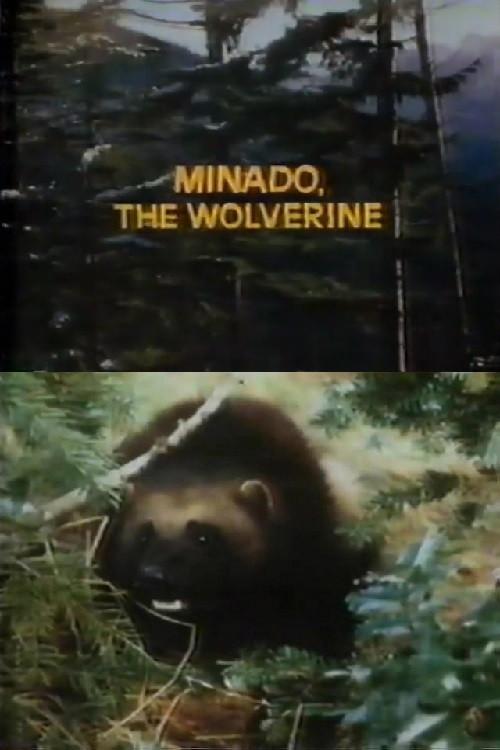 Minado, the Wolverine 1965 official movie poster