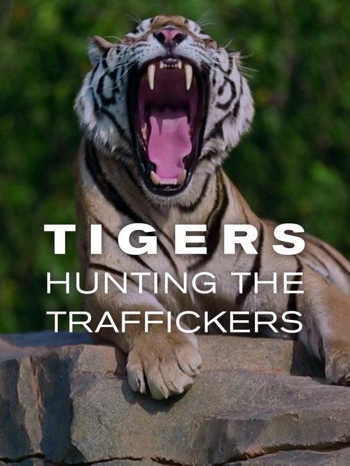 Tigers: Hunting the Traffickers 2020 official movie poster