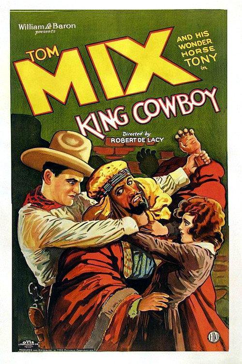 King Cowboy 1928 official movie poster