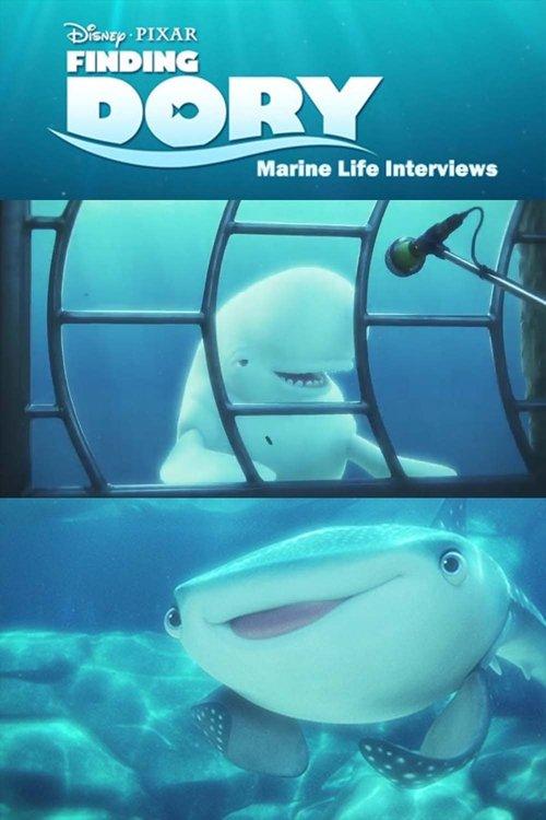 Marine Life Interviews 2016 official movie poster