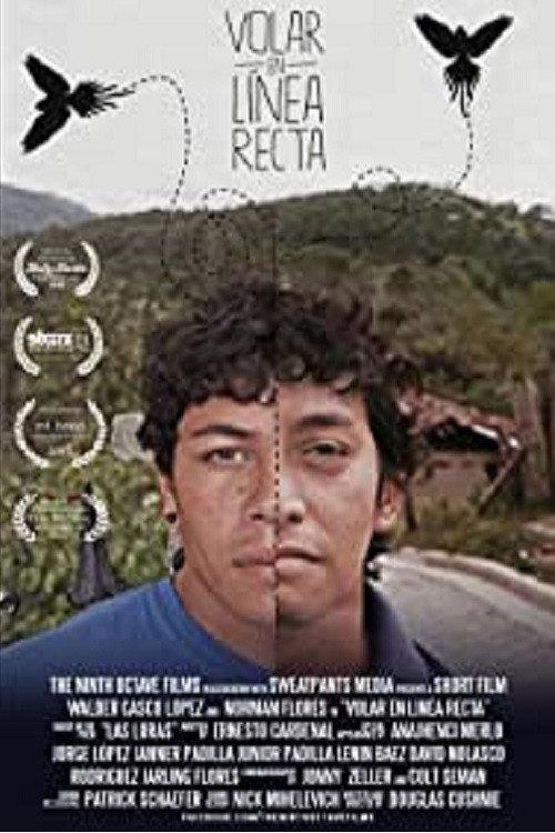To Fly in a Straight Line 2013 official movie poster