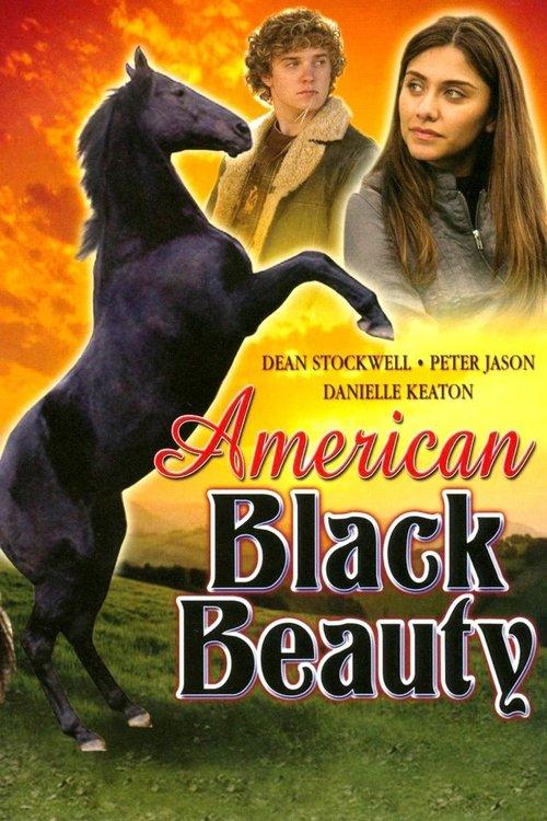American Black Beauty 2005 official movie poster