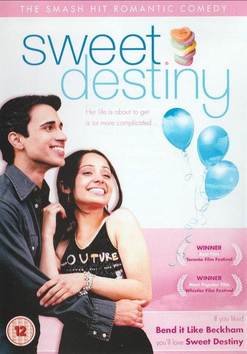 Pink Ludoos 2004 official movie poster
