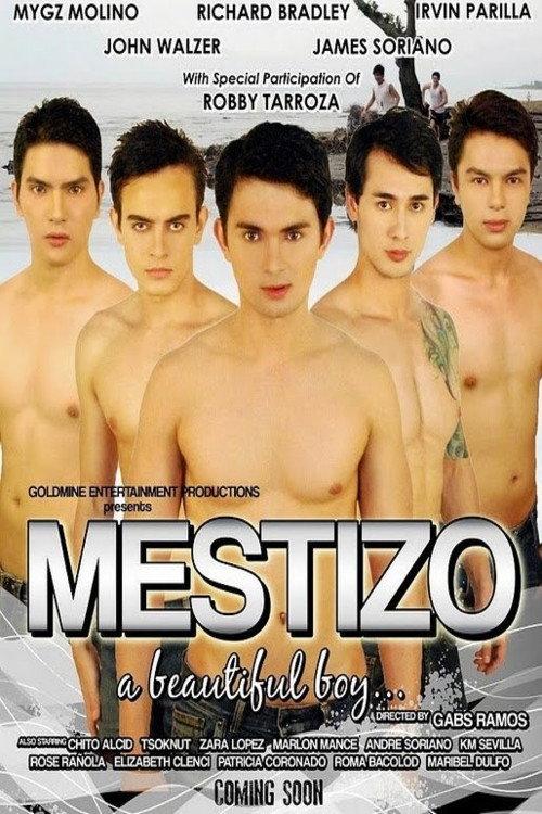 Mestizo: A Beautiful Boy 2012 official movie poster