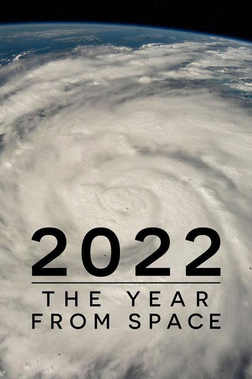 2022: The Year from Space 2023 official movie poster