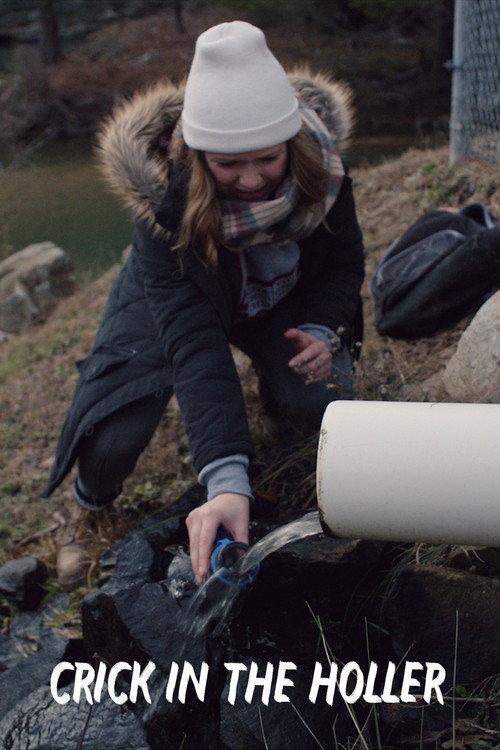 Crick in the Holler 2017 official movie poster