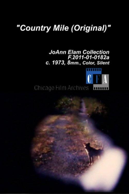 Country Mile 1973 official movie poster