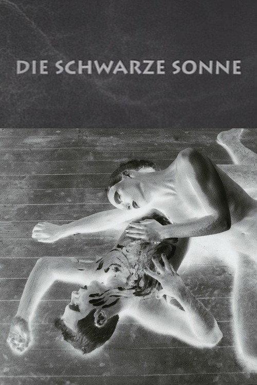 The Black Sun 1992 official movie poster