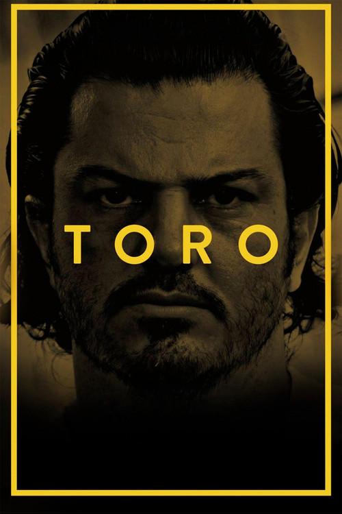 Toro 2016 official movie poster