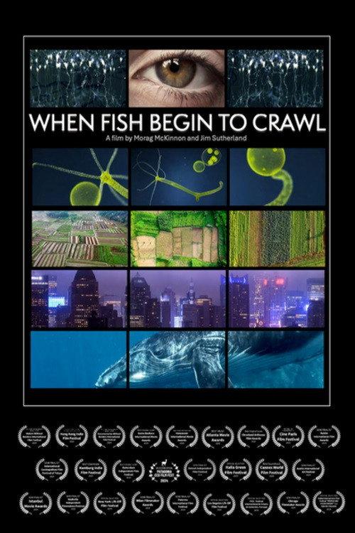 When Fish Begin to Crawl 2023 official movie poster
