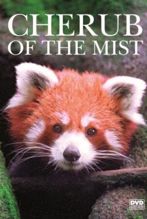 Cherub of the Mist 2006 official movie poster