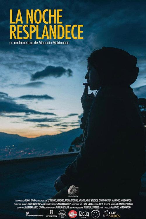 The Night Shines 2018 official movie poster