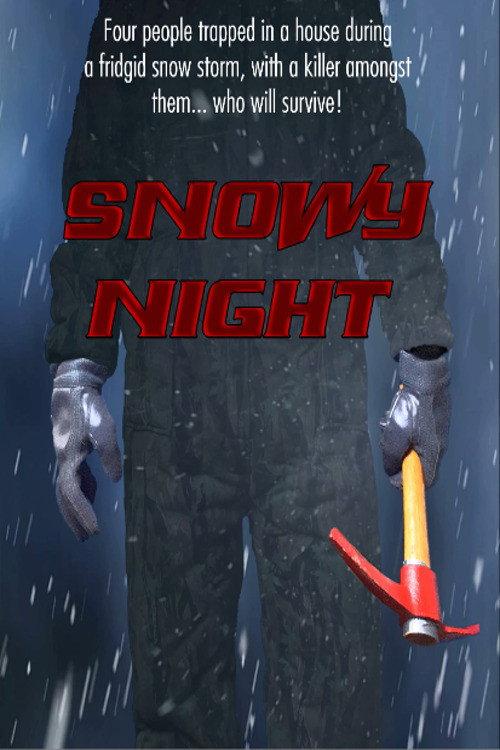 Snowy Night 2021 official movie poster