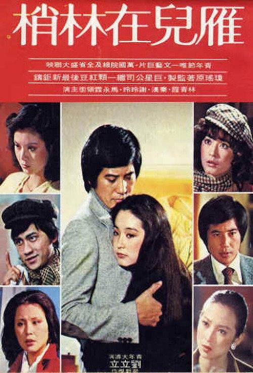 The Wild Goose on the Wing 1979 official movie poster