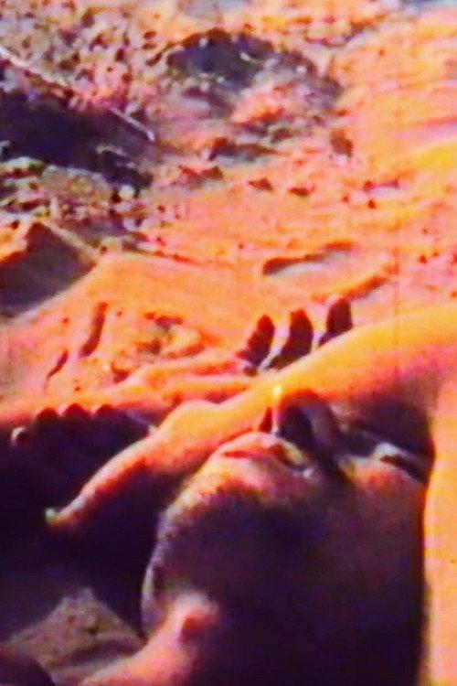 The Wave 1970 official movie poster