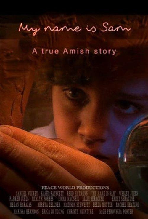 My Name Is Sam 2020 official movie poster