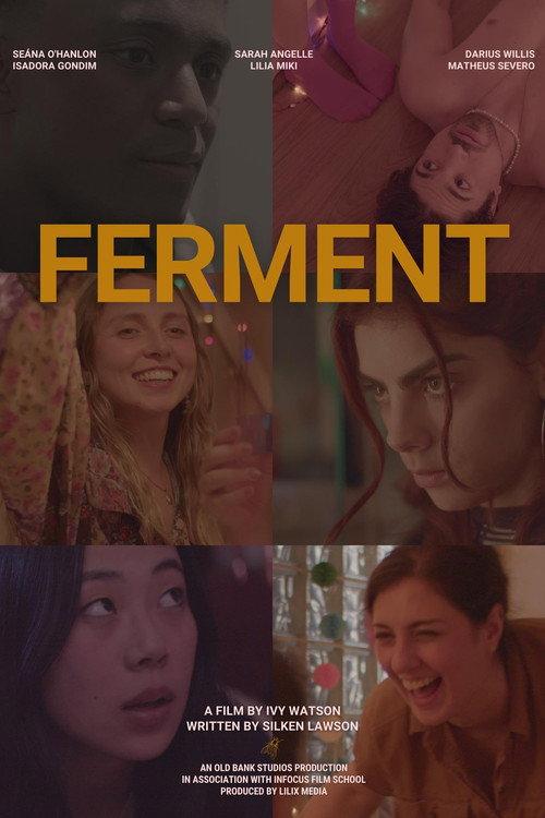 Ferment 2024 official movie poster