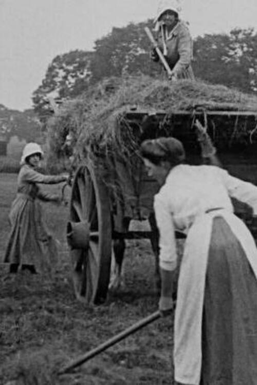Women Hay Makers 1916 official movie poster