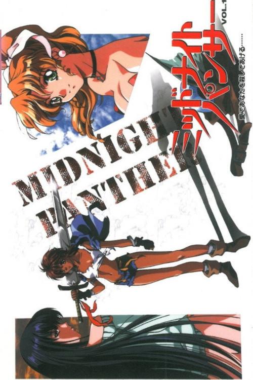 Midnight Panther 1998 official movie poster