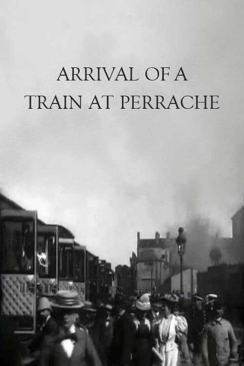 Arrival of a Train at Perrache 1896 official movie poster