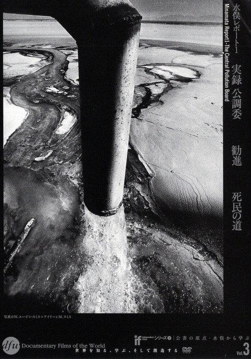 Minamata Report 1 - The Central Pollution Board 1973 official movie poster