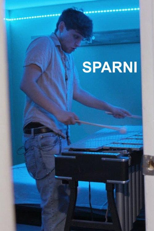 Sparni 2023 official movie poster