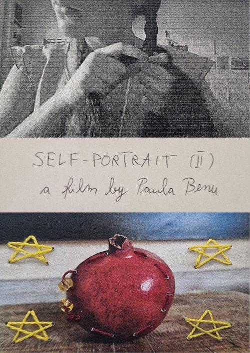 Self-portrait II 2024 official movie poster
