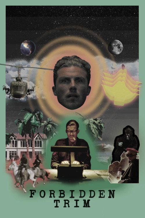 Forbidden Trim 2017 official movie poster