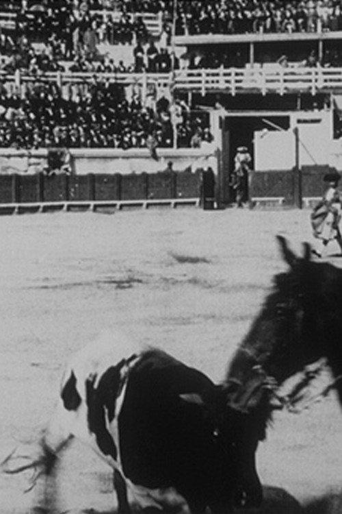 Picadors 1898 official movie poster