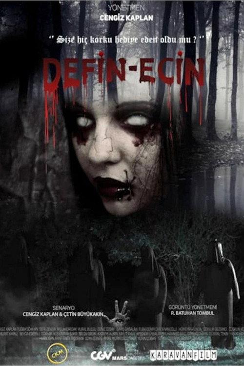 Defin-Ecin Zulman 2021 official movie poster