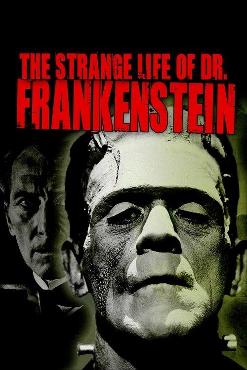 The Strange Life of Dr. Frankenstein 2018 official movie poster