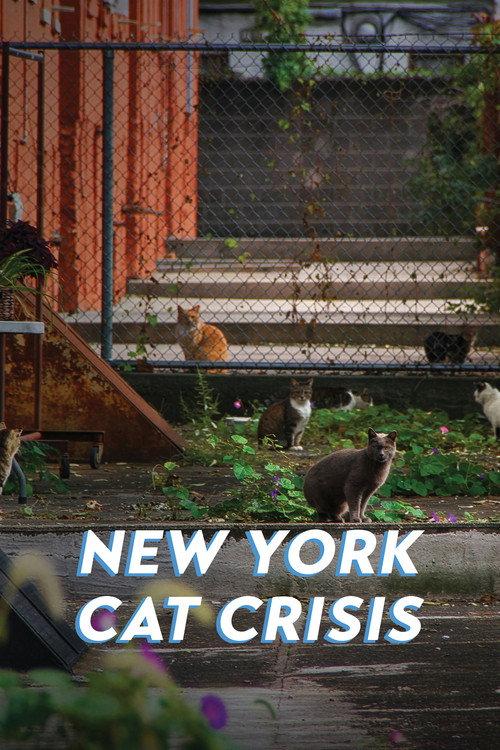 New York Cat Crisis  official movie poster